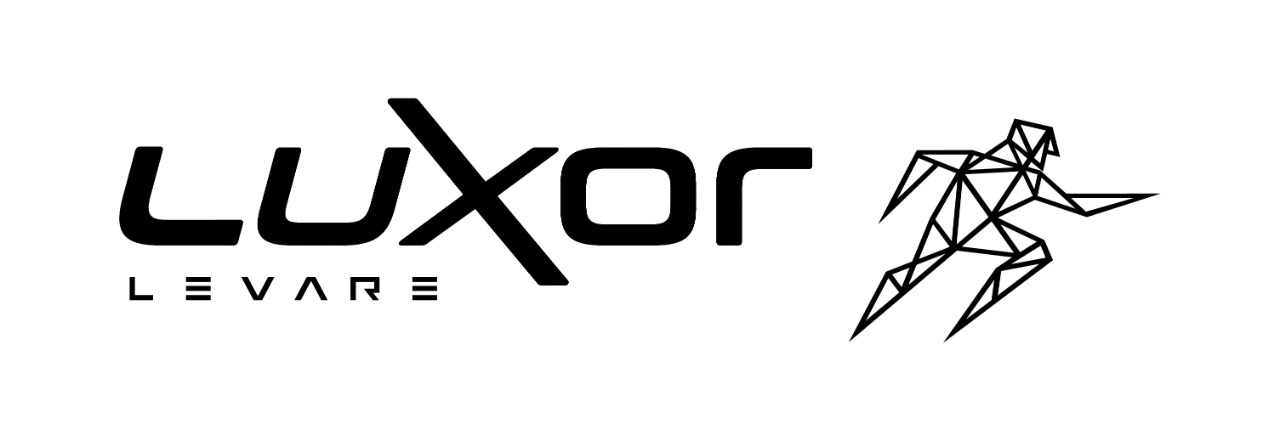 Logo da empresa LUXOR
