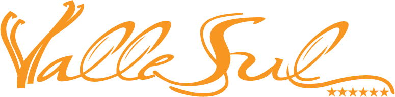 Logo da empresa VALLE SUL